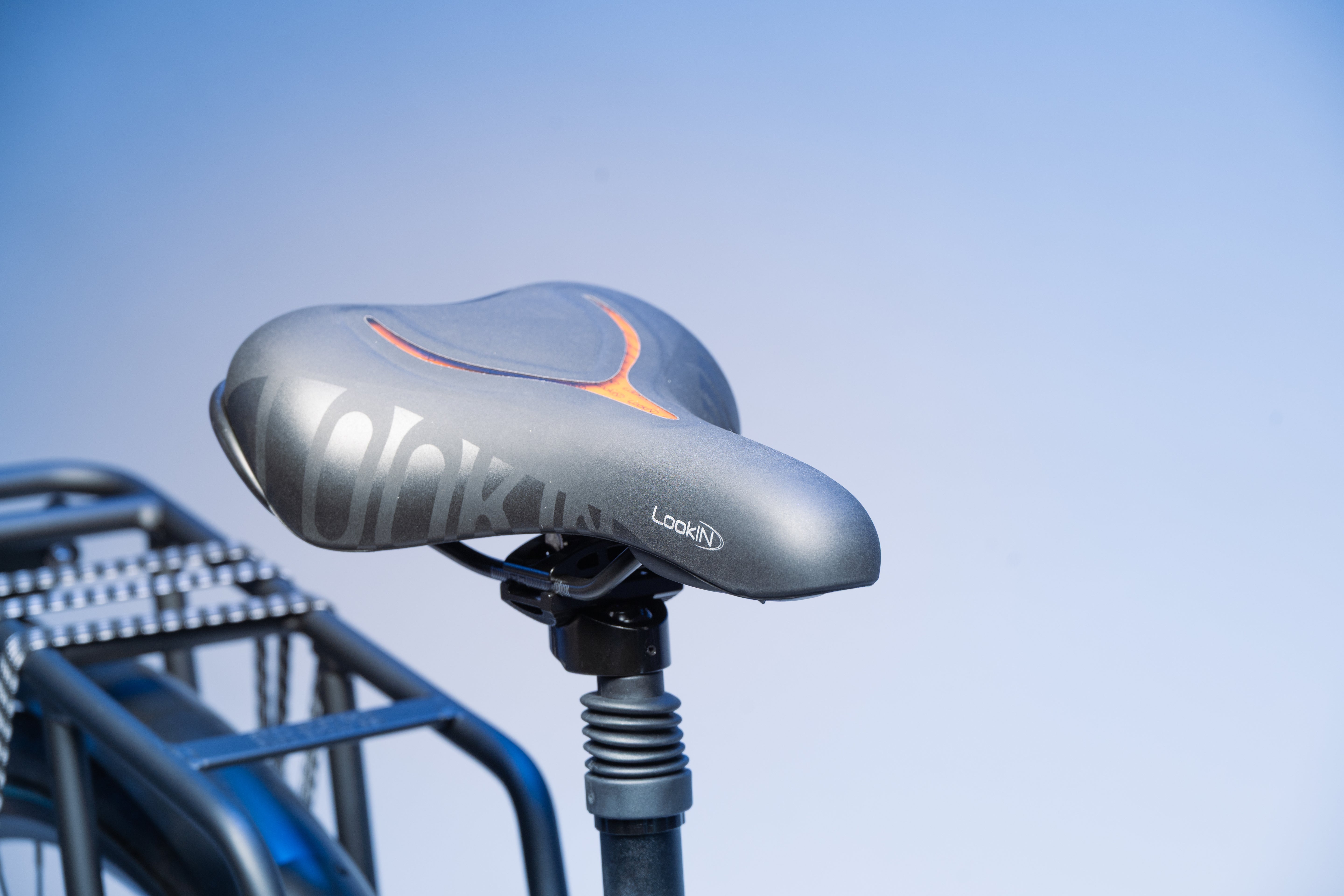 Buddy bike D2