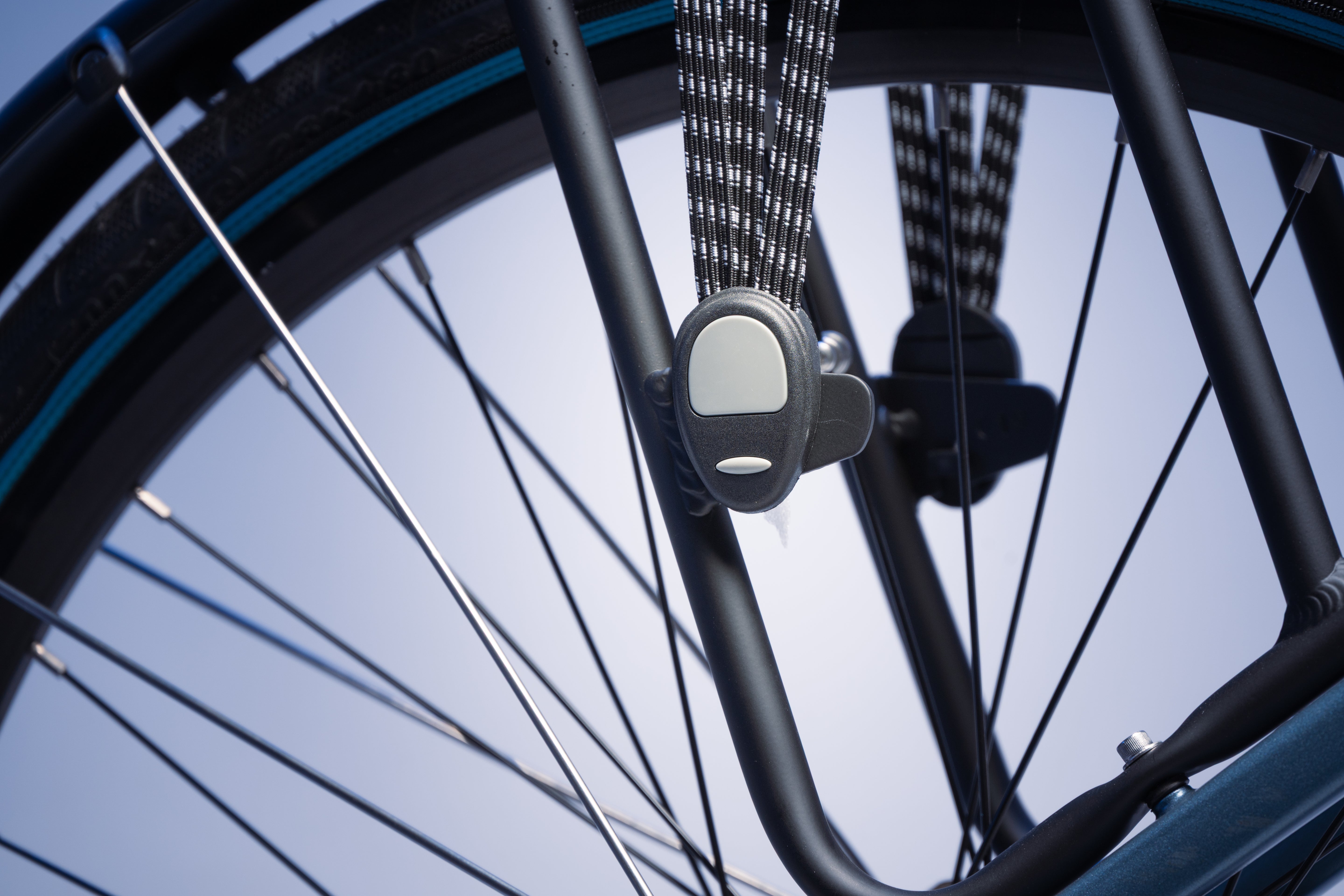 Buddy bike D2