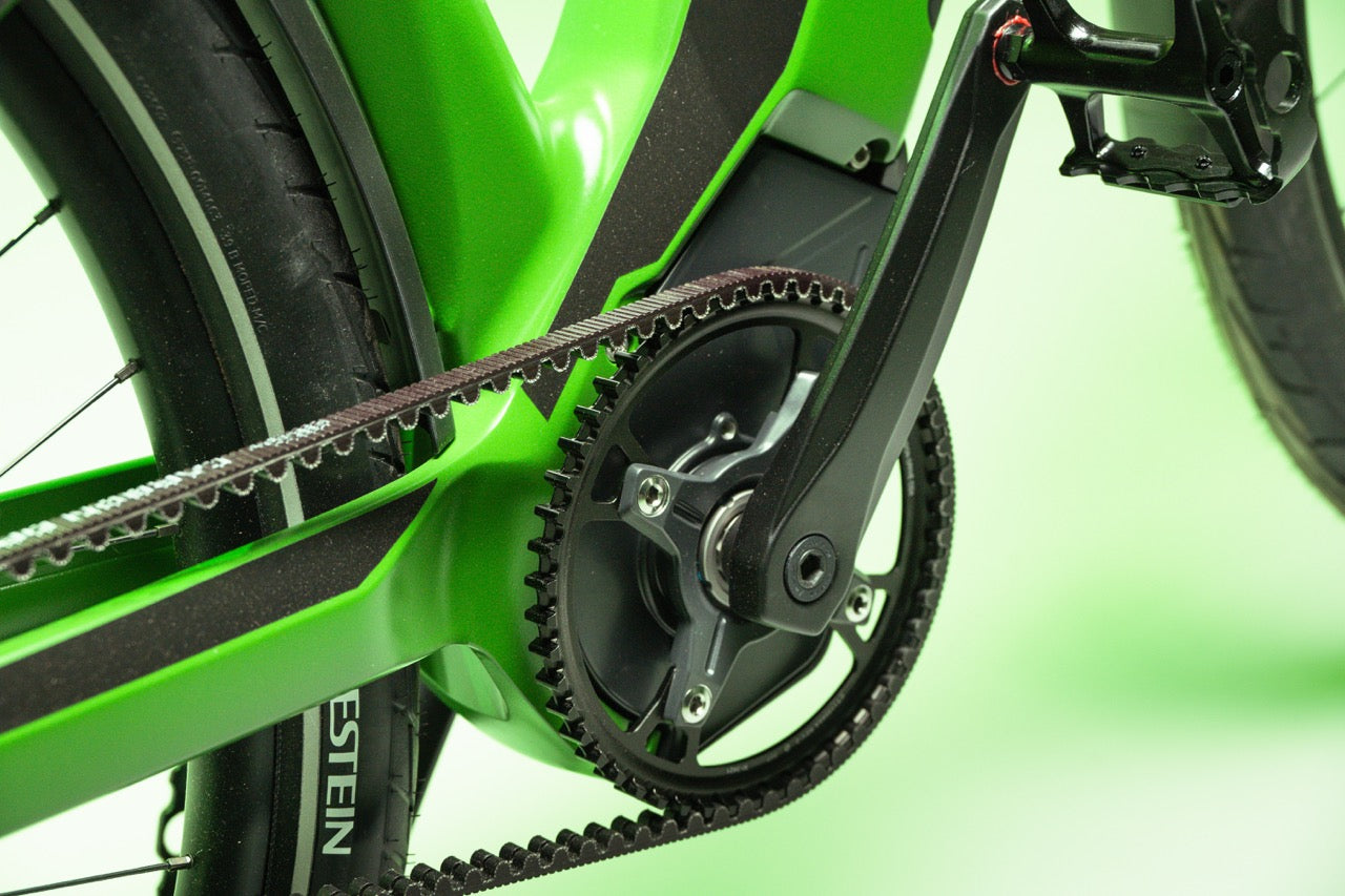Buddy bike X1 Rohloff 14 Gir