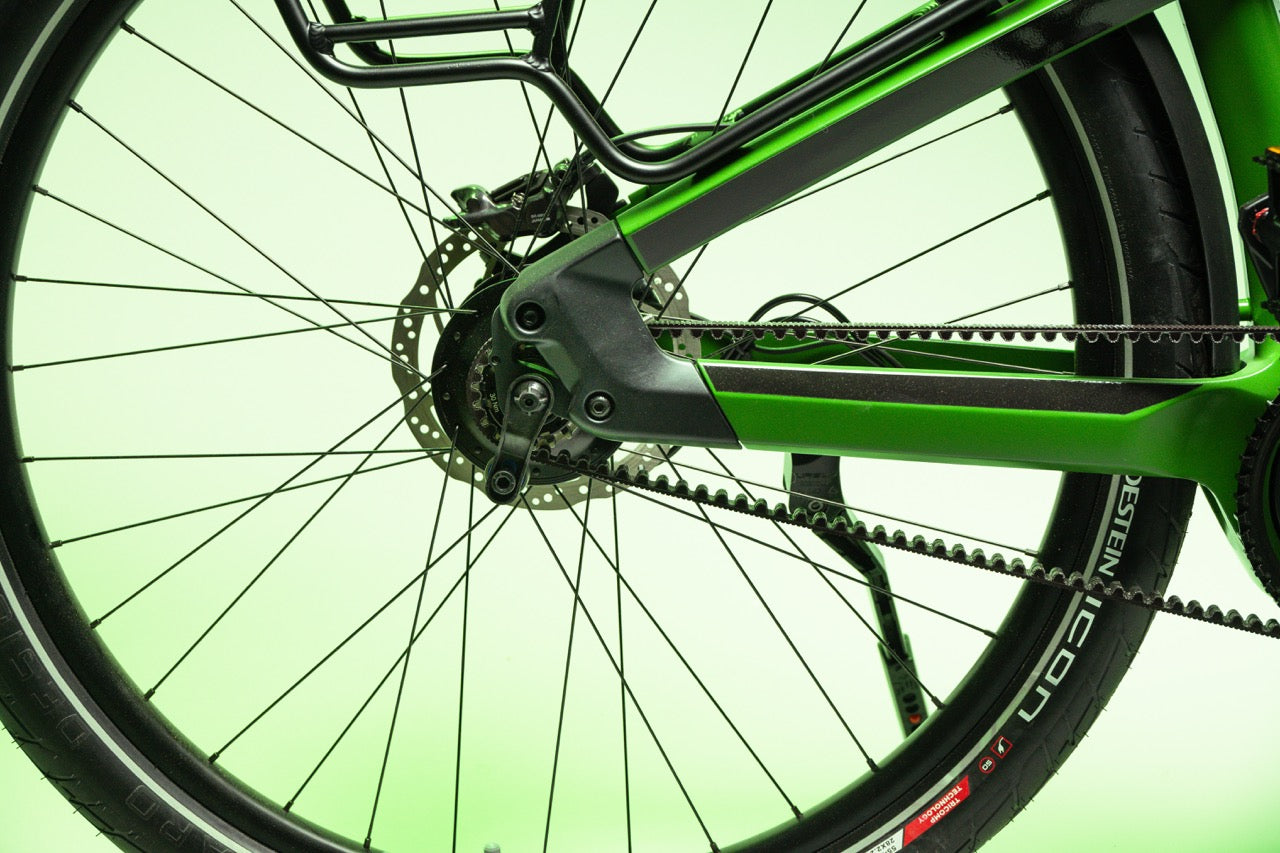 Buddy bike X1 Rohloff 14 Gir