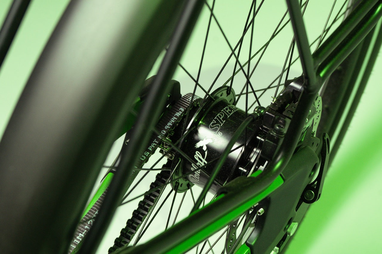 Buddy bike X1 Rohloff 14 Gir