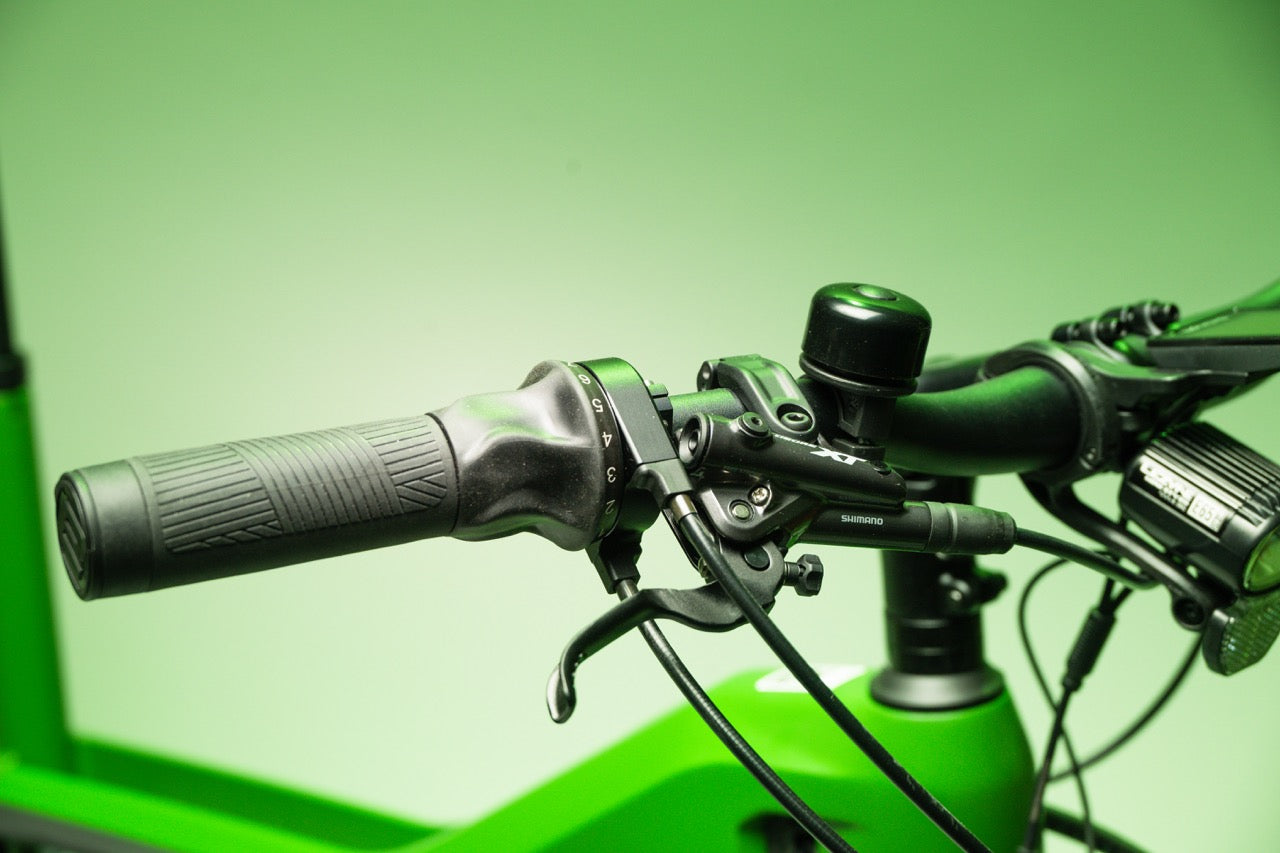 Buddy bike X1 Rohloff 14 Gir