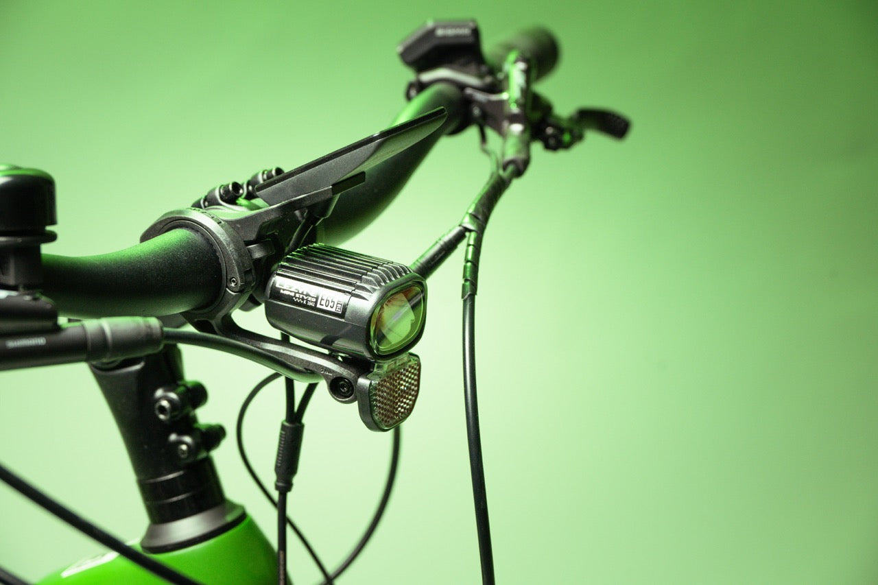 Buddy bike X1 Rohloff 14 Gir