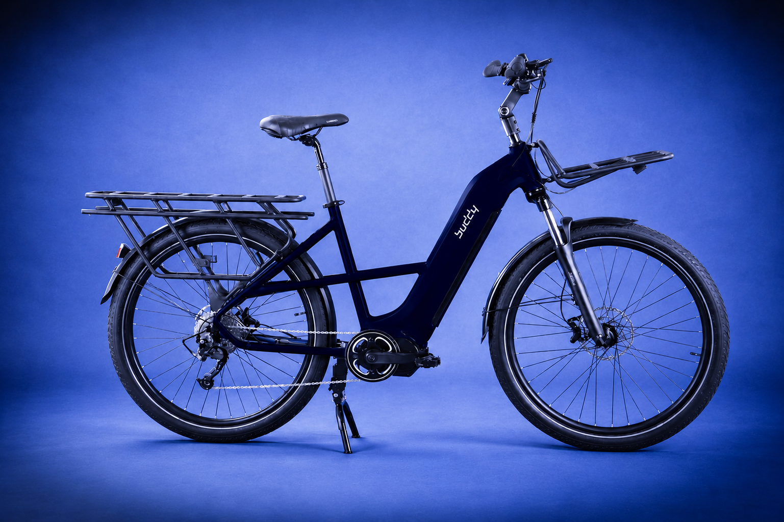 Buddy bike L1