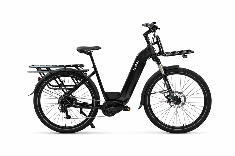 Buddy bike D3+