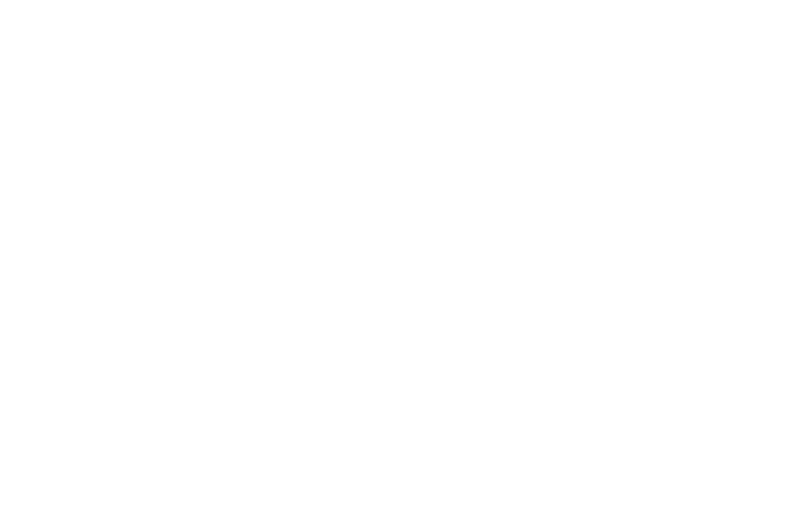 Buddy Bike White Logo