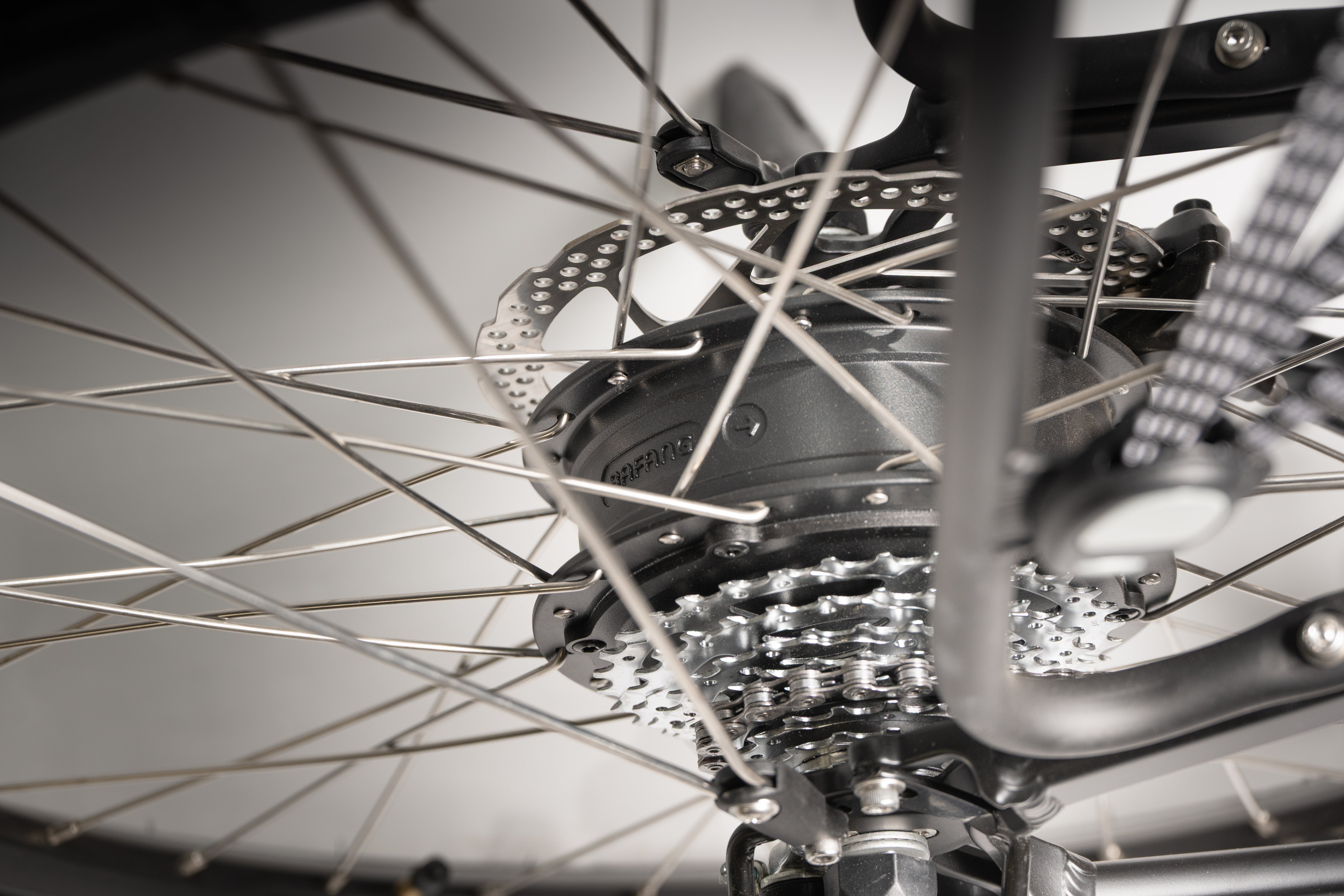 Buddy bike C3