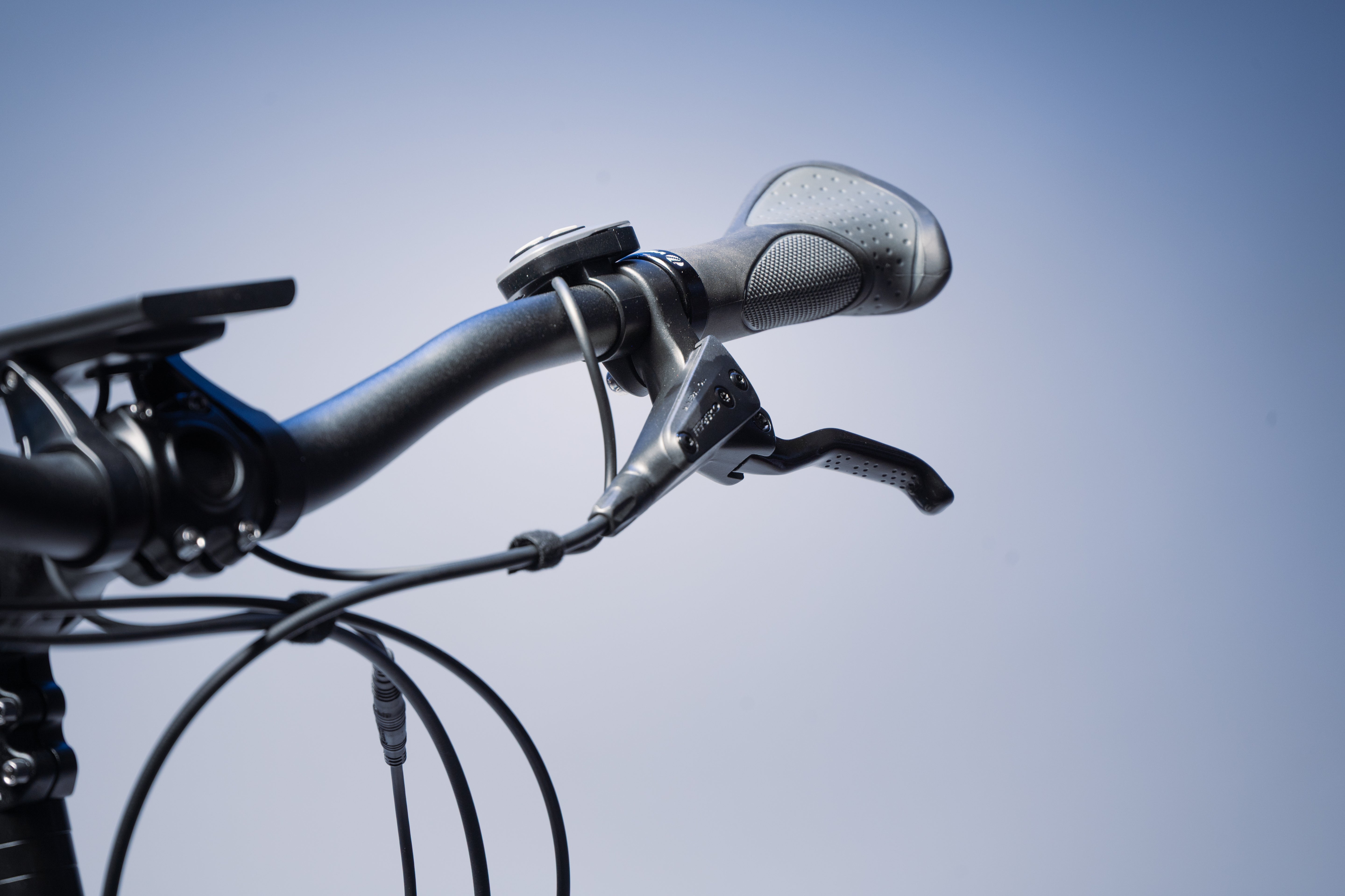 Buddy bike D2