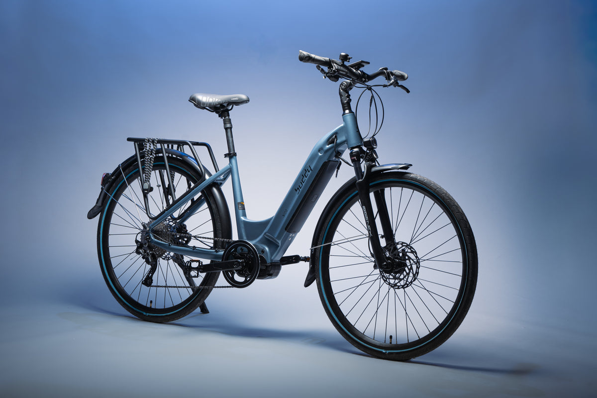 Buddy bike D2