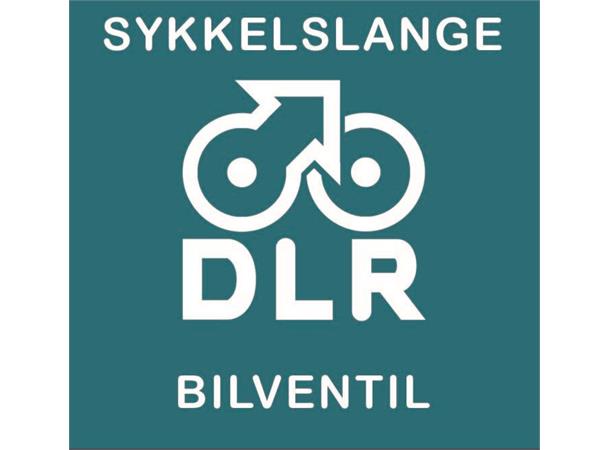 DLR Sykkelslange